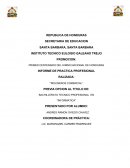 Informe Practica Eulogio Galeano Trejo