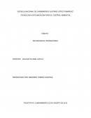 ENSAYO DELINCUENCIA TRASNACIONAL