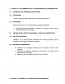 DETERMINACION DE LAS NECESIDADES DE INFORMACION