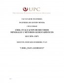 Formato de informe Geoestadistico.