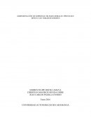 Administración de empresas: dilemas morales típicos que dificultan tomar decisiones