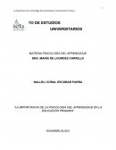 LA IMPORTANCIA DE LA PSICOLOGÍA EN LA EDUCACIÓN PRIMARIA