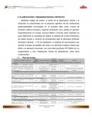 PLANIFICACIÓN Y ORGANIZACIÓN DEL PROYECTO