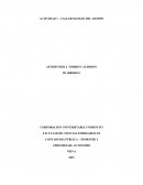 Actividad Taller Manejo del tiempo