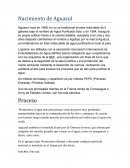 Nacimiento de Aguazul.