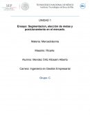 Segmentacion, elección de metas y posicionamiento en el mercado.