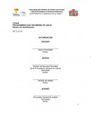 TITULO PROCEDIMIENTO DE TESTIMONIO EN JUICIO