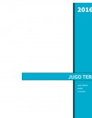 Sistema de Costeo aplicado a una empresa local