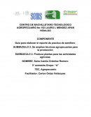 Guía para elaborar el reporte de practica de semillero