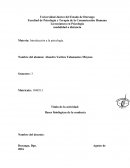 Bases de la conducta.