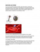 Virus, bacterias y parasitos.