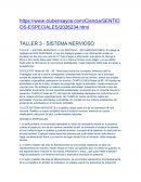 TALLER 3 - SISTEMA NERVIOSO