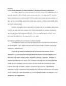 Preguntas: Porque ha sido importante la ventaja comparativa y absoluta en el comercio internacional