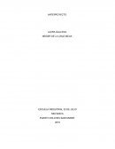 PRENSA HIDRAULICA ARTESANAL PARA EXTRAER ACEITE