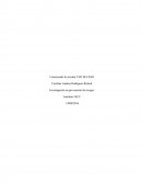 Investigacion en prevencion de riesgos..