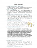 TALLER DE BIOLOGÍA Explique brevemente sobre la digestión química