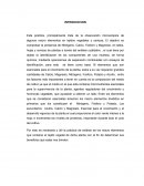 Recomendación Laboral.