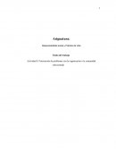 Responsabilidad social y Práctica de Vida