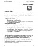 ENFERMERIA MODELO ALOPATICO Y MODELO TRADICIONAL