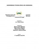 Segundo avance del proyecto Investigación de Mercado
