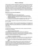 Tabaco y embarazo.