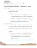 Conceptos fundamentales de la delincuencia juvenil.