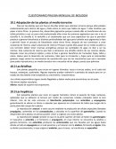 REINO PROTISTA Y REINO MÓNERA.