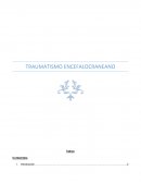 Traumatismo Encefalocraneano (TEC)