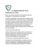 La despenalización de la marihuana en chile