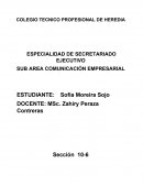 Viquez jara y asociados.