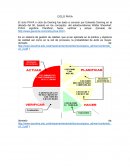Ciclo PHVA o ciclo deming.