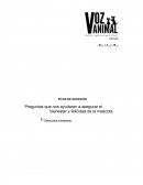 Preguntas que nos ayudaran a asegurar el bienestar y felicidad de la mascota