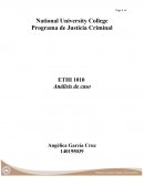 Programa de Justicia Criminal. Análisis de caso.