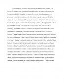 La antropología ENsayo