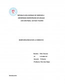 BASES BIOLÓGICAS DE LA CONDUCTA ENSAYO