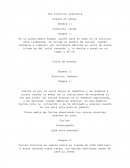 Guión de serie web, una historia ordinaria.