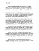 El baldío Estaba oscuro, no se podía ver más que las sombras que se formaban debido a las luces que aparecían.