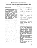 Experiencia número 2: Extremidad Superior
