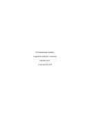 El Ordenamiento Jurídico. Legislación Laboral y comercial
