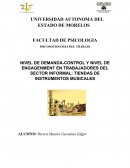 Investigacion en trabajadores informales.