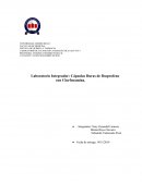 Integrador Cápsula duras de ibuprofeno 200 mg.