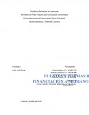 FUENTES Y FORMAS DE FINANCIACIÓN A LARGO PLAZO.