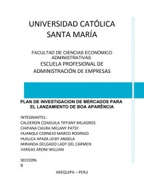 Estructura de Plan de Investigación ejemplo.. Página 1