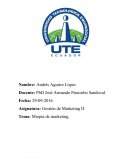 Miopía de marketing.