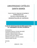 Estructura de Plan de Investigación ejemplo.