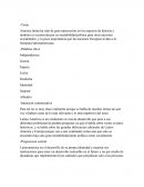 América latina ha sido de gran repercusión en los aspectos de historia y también es reconocida por su inestabilidad política para otras naciones occidentales, y la poca importancia que las naciones Europeas le dan a la literatura latinoamericana