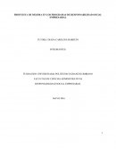 PROPUESTA DE MEJORA EN LOS PROGRAMAS DE RESPONSABILIDAD SOCIAL EMPRESARIAL.