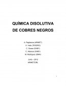 QUÍMICA DISOLUTIVA DE COBRES NEGROS