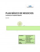 PLAN BÁSICO DE NEGOCIOS Consultoría en Pequeños Negocios