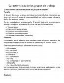 Características de grupos de trabajo